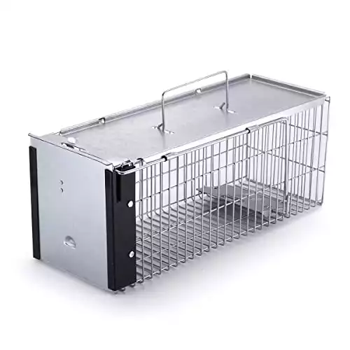 Faicuk Heavy Duty Squirrel Trap Chipmunk Trap and Other Similar-Size Rodents (Medium)