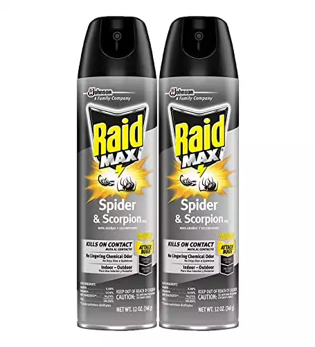 Raid Max Spider and Scorpion Killer | Amazon