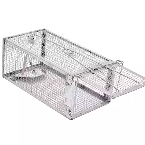 Kensizer Humane Indoor & Outdoor Trap | Amazon