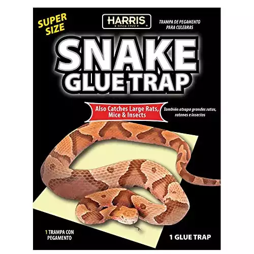 Harris Snake Glue Trap | Amazon