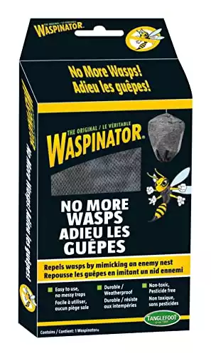 Tanglefoot 300000430 Waspinator | Amazon