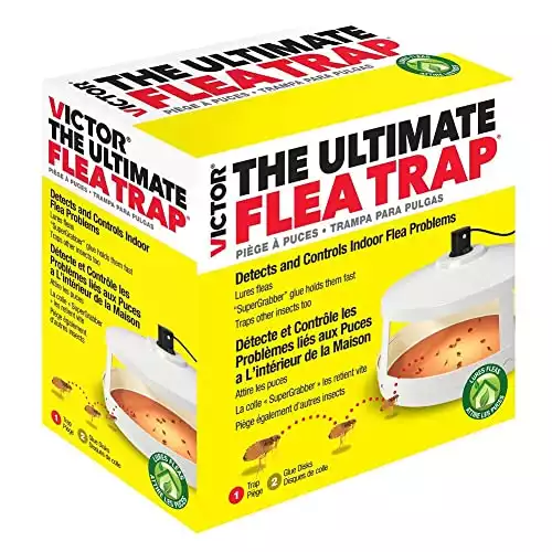 Victor Safer Brand M230A Ultimate Flea Trap | Amazon