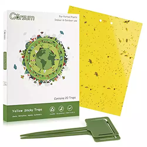 Garsum 20-Pack Dual-Sided Yellow Sticky Traps | Amazon