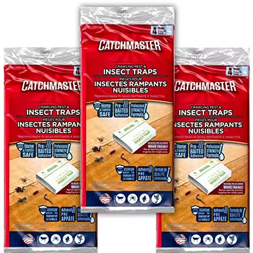 CatchMaster 724 Spider and Insect Glue Trap | Amazon