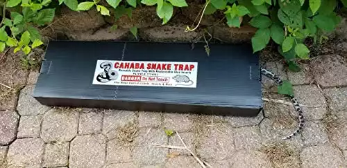 Snake Trap Large | Amazon