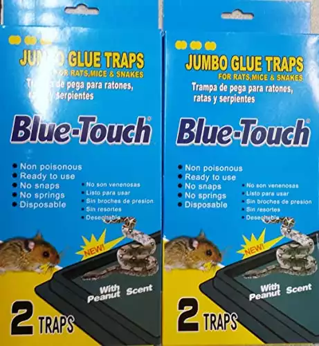 Blue-Touch Jumbo Rat, Mice, and Snake Traps | Amazon