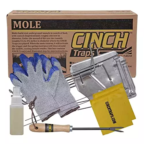 Cinch Mole Trap with Tunnel Marking Flag | Amazon